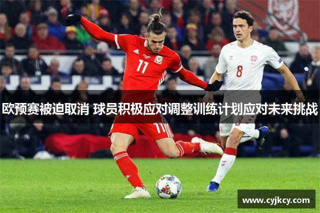 欧预赛被迫取消 球员积极应对调整训练计划应对未来挑战