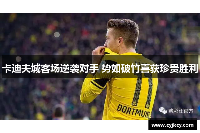 卡迪夫城客场逆袭对手 势如破竹喜获珍贵胜利