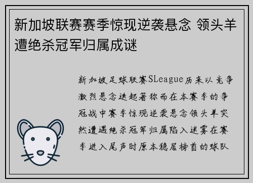 新加坡联赛赛季惊现逆袭悬念 领头羊遭绝杀冠军归属成谜
