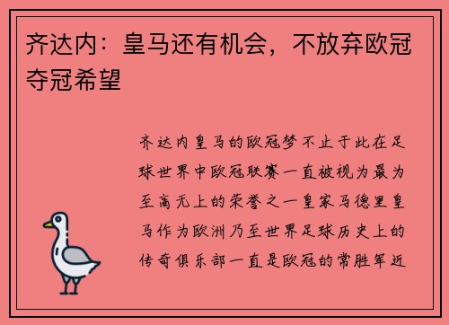 齐达内：皇马还有机会，不放弃欧冠夺冠希望